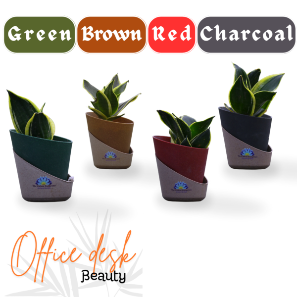 Snake Planter with self watering pots by The Carbon Footprints - Image 6