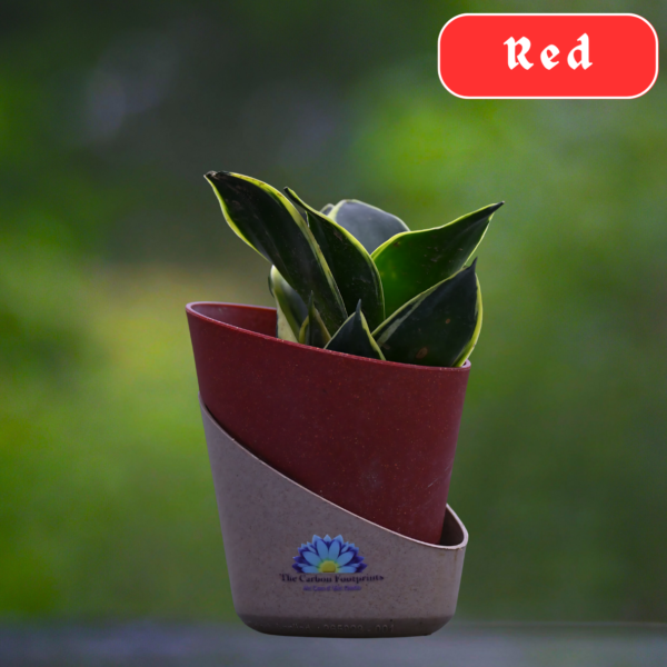 Snake Planter with self watering pots by The Carbon Footprints - Image 3