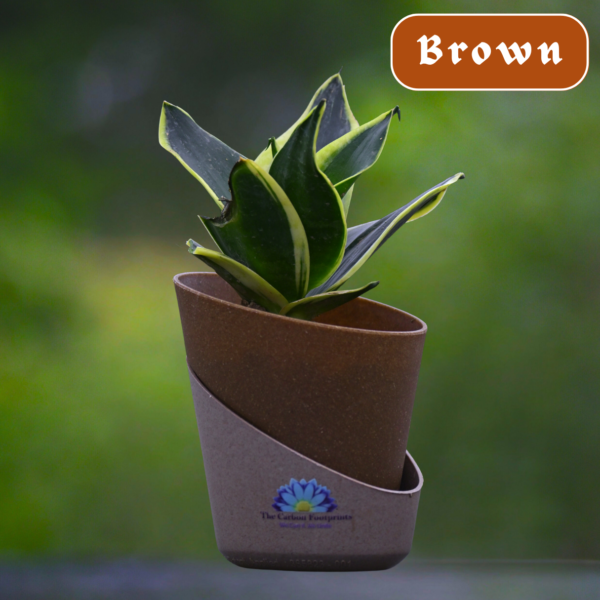 Snake Planter with self watering pots by The Carbon Footprints - Image 4