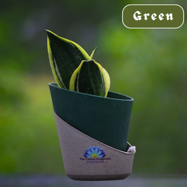 Snake Planter with self watering pots by The Carbon Footprints - Image 5