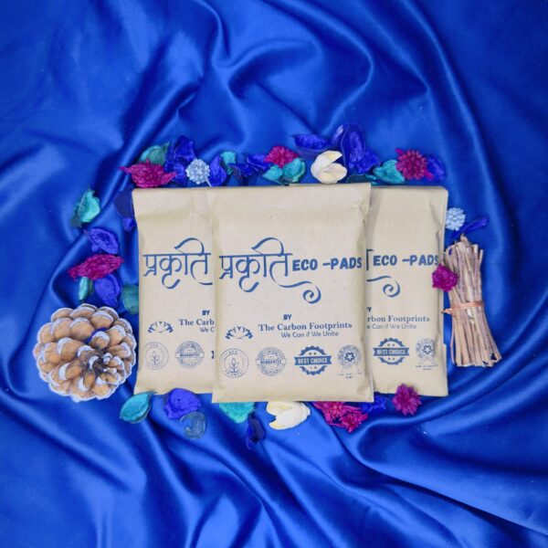 Prakruti Eco-Pads: Premium Biodegradable Sanitary Napkins - Image 4